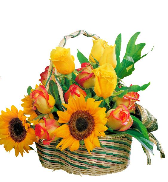 Sonnenblumenkorb